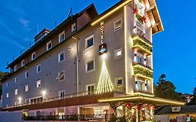 Hotel Fioreze Primo - 800m da Rua Coberta